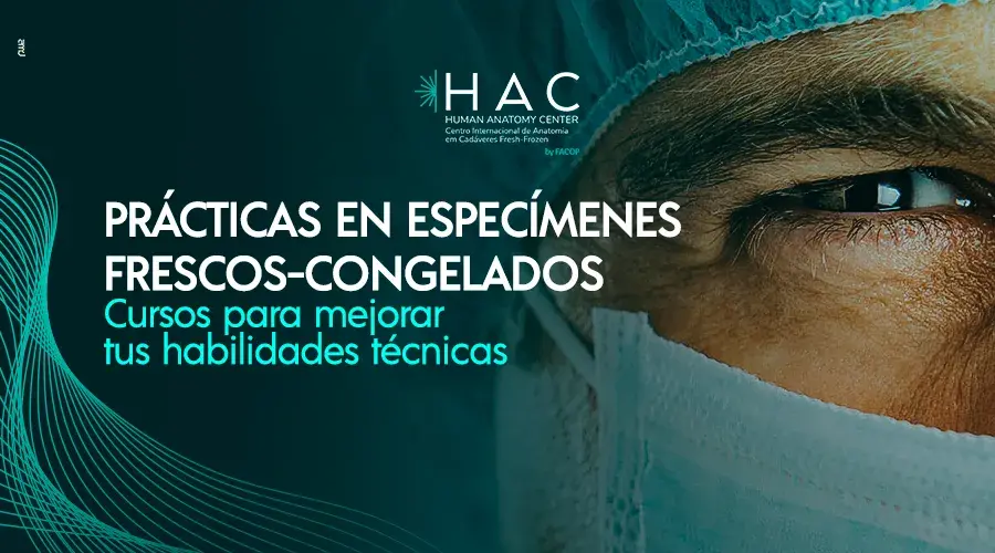 BannerCELULARespanhol10