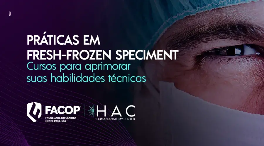 BannerCELULARportuguês10