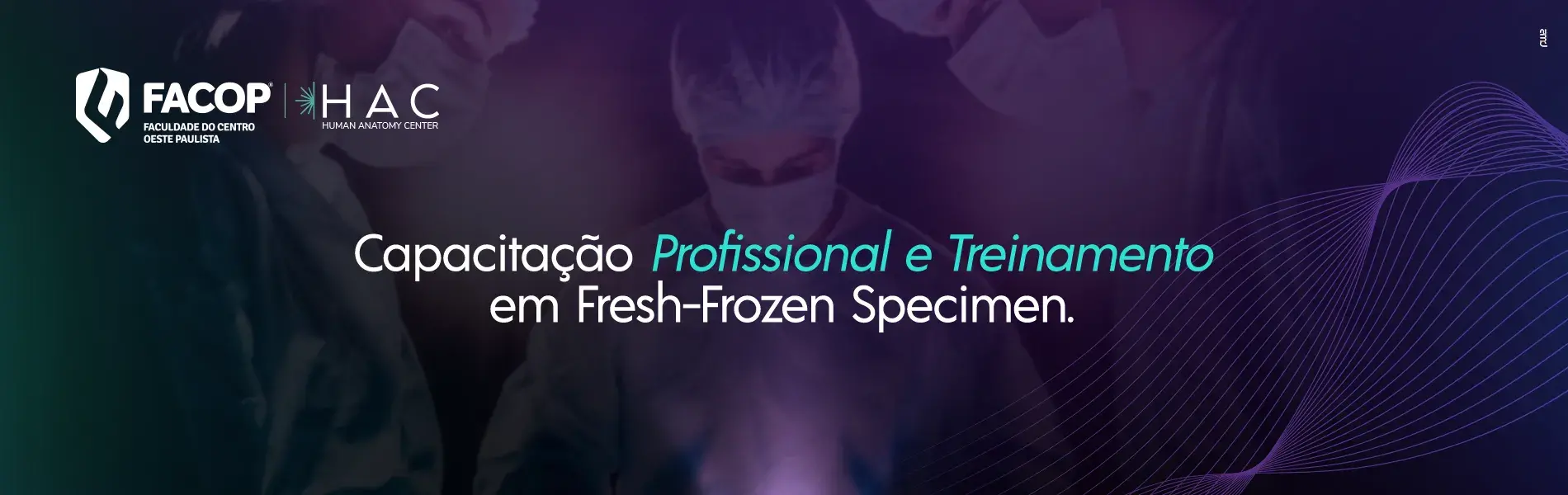 Banner20Português