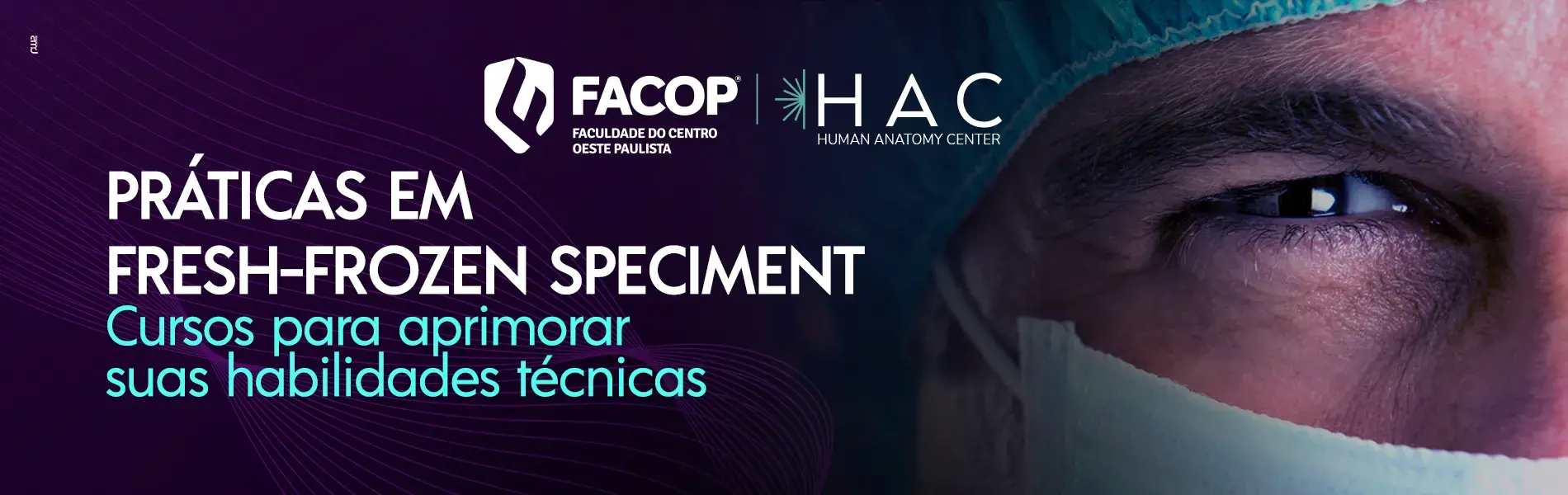 Banner Versão PC – português