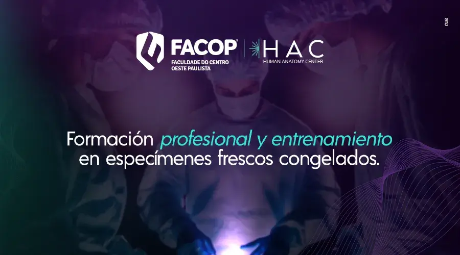capacitacao cell es